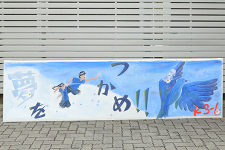 K3-6